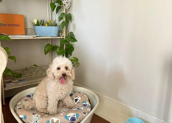 La Di Giulia Gasthuis 4*